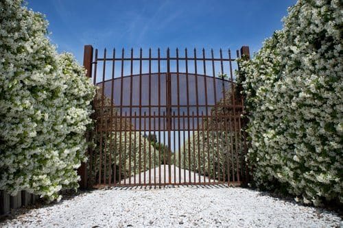 Custom dark metal entry gate set between manicured hedges