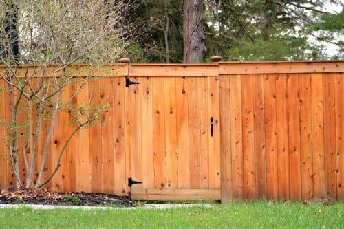 Tall cedar privacy fence with matching gate enclosing a green backyard, installed by Fast Fences LLC
